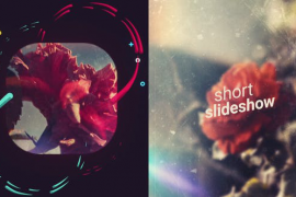 Short Bright Slideshow For Premiere Pro 50433213