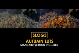 Slog3 Autumn and Standard LUTs 50875818