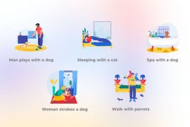 Pets - Scene Situation 48866029