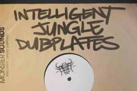 Loopmasters Intelligent Jungle Dub Plates WAV