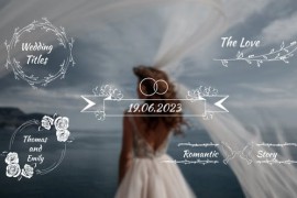Minimal Wedding Titles 49483323