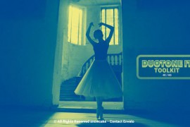 Duotone It Toolkit 50771813