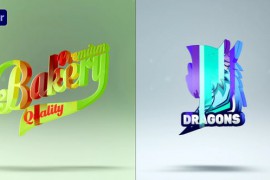Colorful Logo Reveal | Premiere Version 35861234