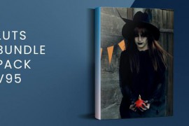 LUTs Bundle Pack V95 | FCPX 49986142