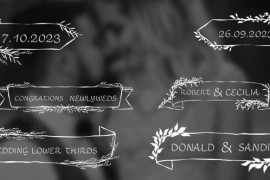 Wedding Lower Thirds 49483500