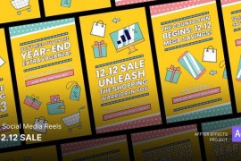 Social Media Reels - 12.12 SALE After Effects Template 49245912