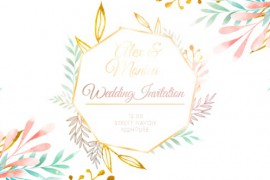 Wedding Invitation Intro 44837797