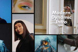 Modern Dynamic Intro 51109253