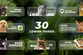 Lower Thirds with Photo or Video 48652643