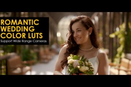 Romantic Wedding Color LUTs 48367457