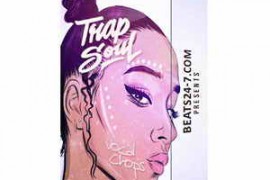 Beats24-7 Trapsoul Vocal Chops WAV-FANTASTiC