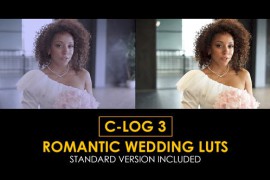 C-Log3 Romantic Wedding and Standard Color LUTs 51228649