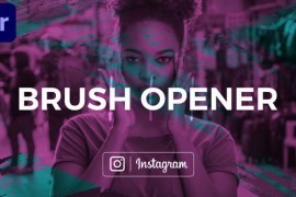 Brush Opener 44564638
