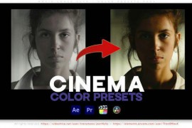 Cinematic Look Color LUTs 50533867