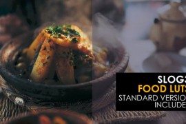 Slog3 Food and Standard Color LUTs 48789835