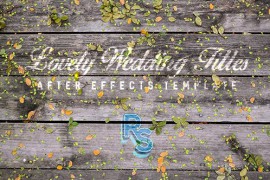 Lovely Wedding TItles 16287295