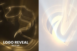 Logo Reveal 47644316