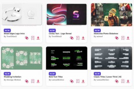 2024.5.2.61.Set.AE.Templates