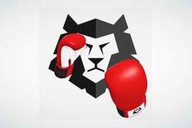 Boxing Gloves (Punch It!) 15029335