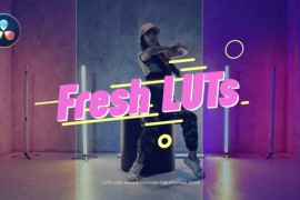Fresh LUTs 50813548