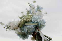 Lauren Ashleigh – Wildflower AI masks & tools presets