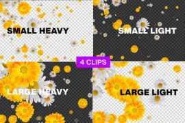 Flowers Falling Pack Alpha Loop 46173949