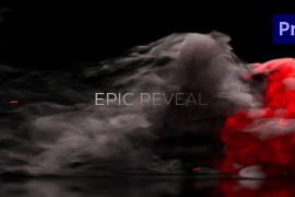 Wild Flame Logo Reveal 55864498