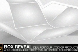 Box Reveal 234832