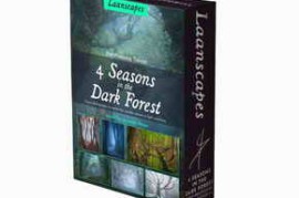 Laam Scapes – Daniel Laan – 4 Seasons in the Dark Forest