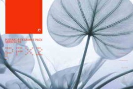 Purukichi PFX2 WAV-FANTASTiC