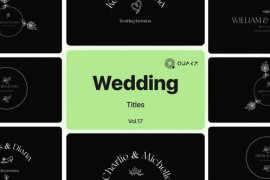 Wedding Titles Vol. 17 48928989
