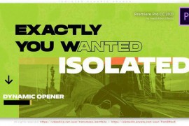 Isolated Dynamic Opener 49217356
