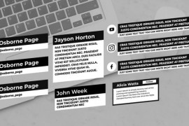 Lower Thirds | AE 42221653