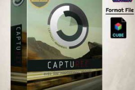 CaptuRec – MegaBundle – 500+ Presets