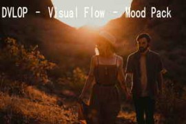 DVLOP – Visual Flow – Mood Pack