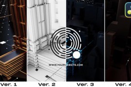 Data City Logo Reveal 46556272