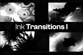 20 Ink Transitions I 47828015