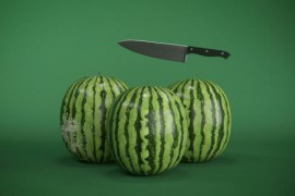 Watermelon Logo Reveal 22881389