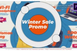 Winter Sale 43384013