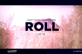 Light Leaks Roll Transitions Vol. 02 46089418