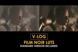 V-Log Film Noir and Standard Color LUTs 51378503