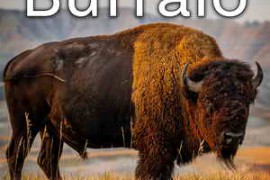 Sound Ideas Buffalo Sound Effects FLAC-FANTASTiC