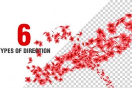 Flowers Spiral Pack V2 51057387