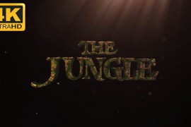 Cinematic Logo Reveal - Hollywood Style 26884892