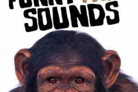Fart Sound Effects Funny Fart Sounds FLAC WAV