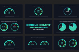 Infographics Circle Chart 50240784