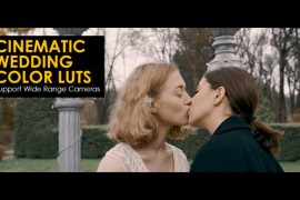 Cinematic Wedding Color LUTs 48381494