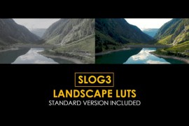 Slog3 Landscape and Standard Color LUTs 48800447