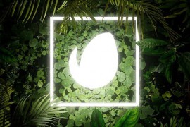 Lighting Nature Logo 44383431