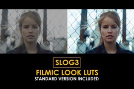 Slog3 Filmic Look and Standard Color LUTs 50813325